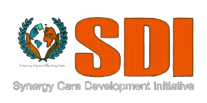 Synergy Care Development Initiative